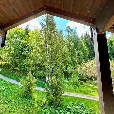 Obersalzberg Апартаменты *